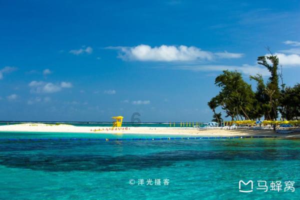牛油果面包
